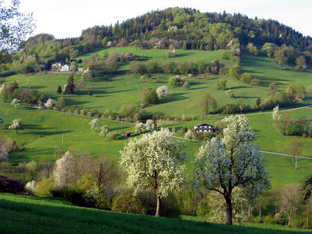 Fronberg - Frühjahr: wird von Himmlischer Runde umrundet